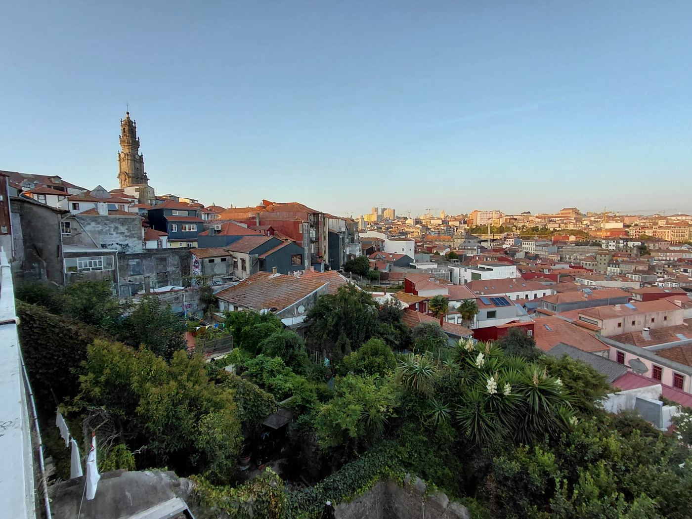 View over the rooftops of the historic centre in the afternoon, with the Clérigos Tower in the background